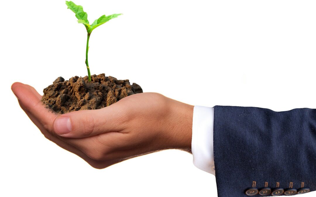 Ley Crea y Crece: impulso a empresas y financiación